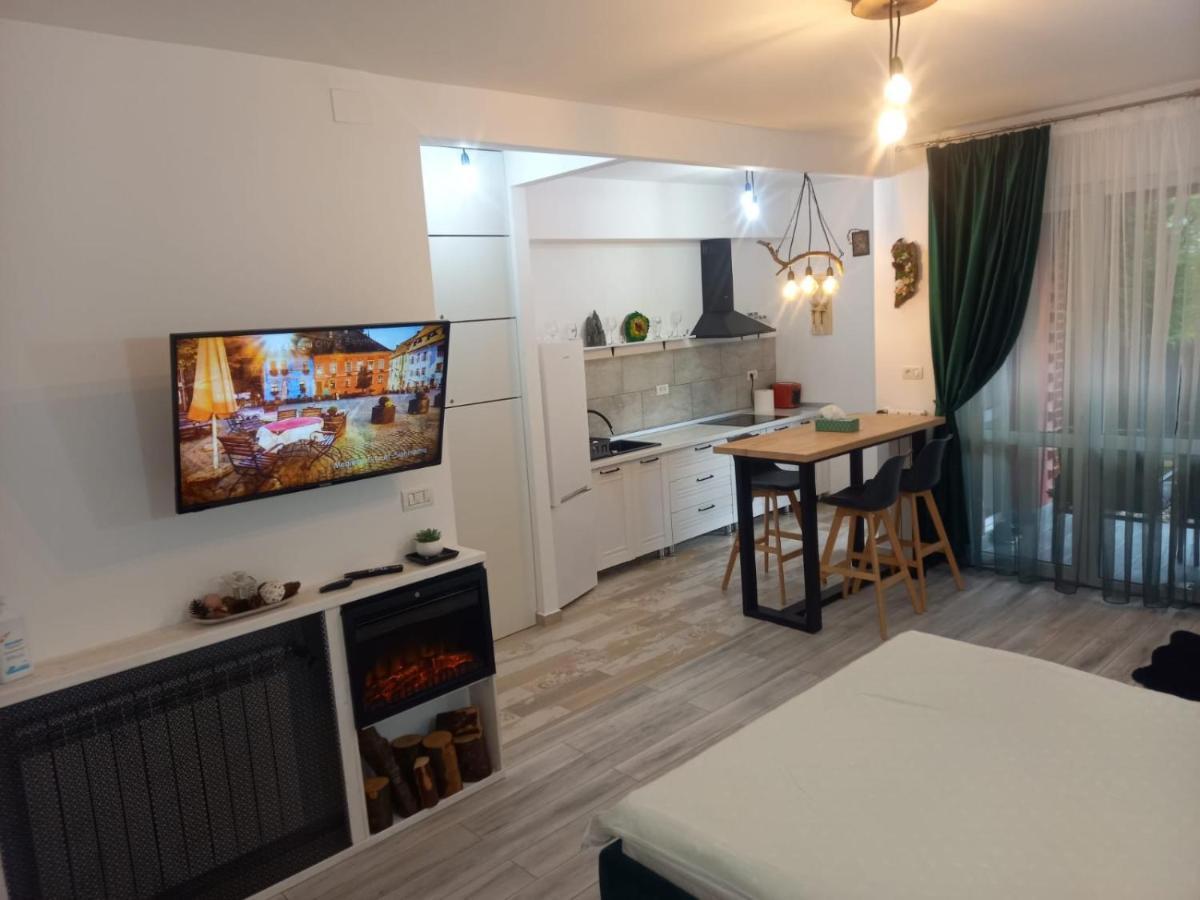 شقة Belleview Garden Studio سِنايا المظهر الخارجي الصورة