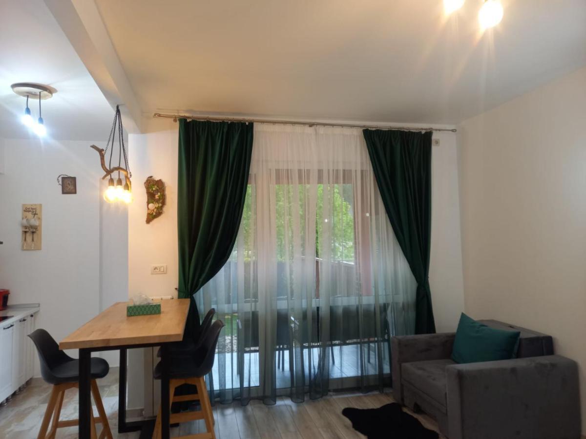 شقة Belleview Garden Studio سِنايا المظهر الخارجي الصورة